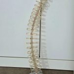 CBS Translucent Spine Cable Tidy Slinky - Management Desk Organiser 80cm Tall