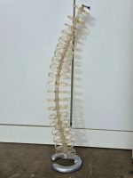 CBS Translucent Spine Cable Tidy Slinky - Management Desk Organiser 80cm Tall