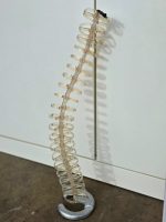 CBS Translucent Spine Cable Tidy Slinky - Management Desk Organiser 80cm Tall - Image 5