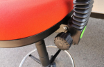 Draughtsman Red Chair Height Adjustable Office High Stool with Foot Ring - Image 14