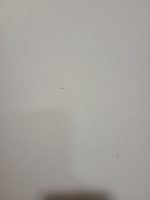 Steelcase Be-Free High Table 160cm + 4 Cobi Chairs – Collaborative Office Set - Image 22