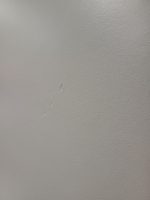 Steelcase Be-Free High Table 160cm + 4 Cobi Chairs – Collaborative Office Set - Image 23