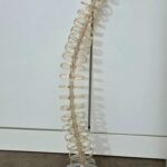 Spine Cable Tidy Slinky - Management Desk Translucent Organiser - 80cm Tall