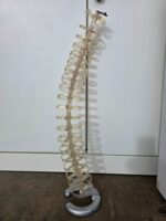 Spine Cable Tidy Slinky - Management Desk Translucent Organiser - 80cm Tall - Image 10