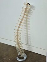 Spine Cable Tidy Slinky - Management Desk Translucent Organiser - 80cm Tall - Image 13
