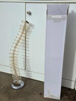 Spine Cable Tidy Slinky - Management Desk Translucent Organiser - 80cm Tall - Image 14
